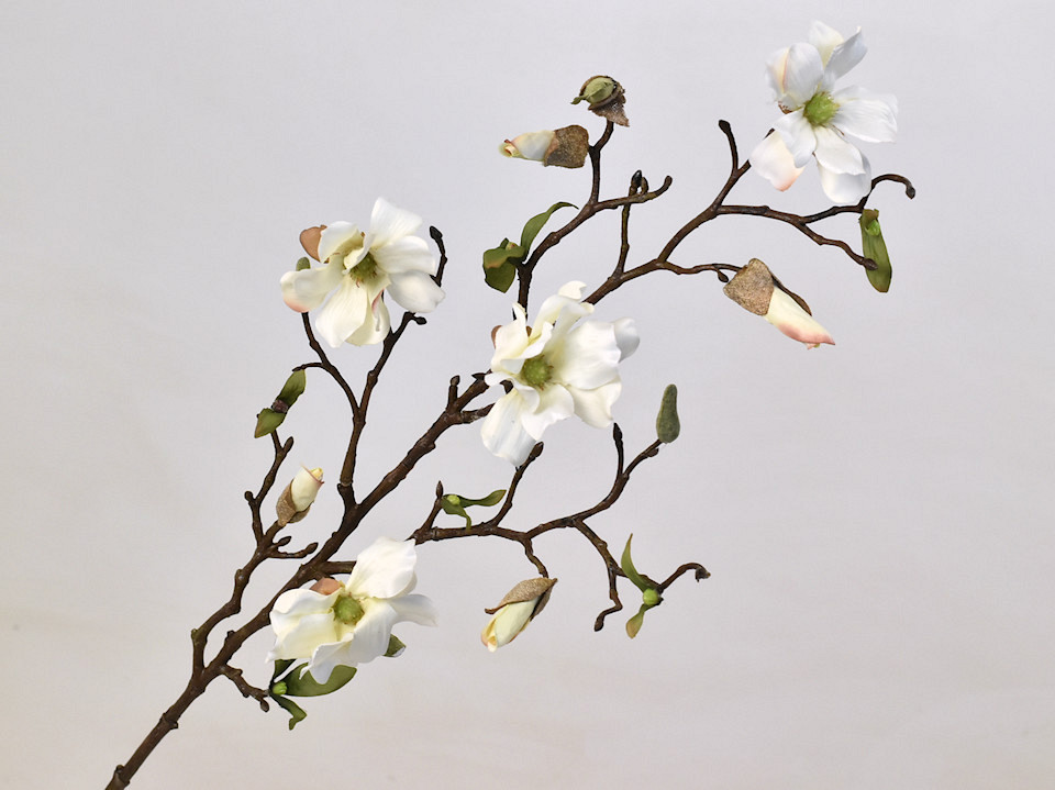 Tige de Magnolia 78cm Blanc