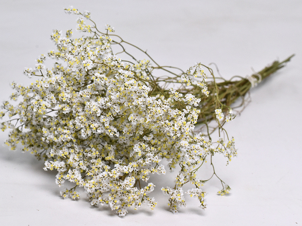 Limonium Wit 70cm