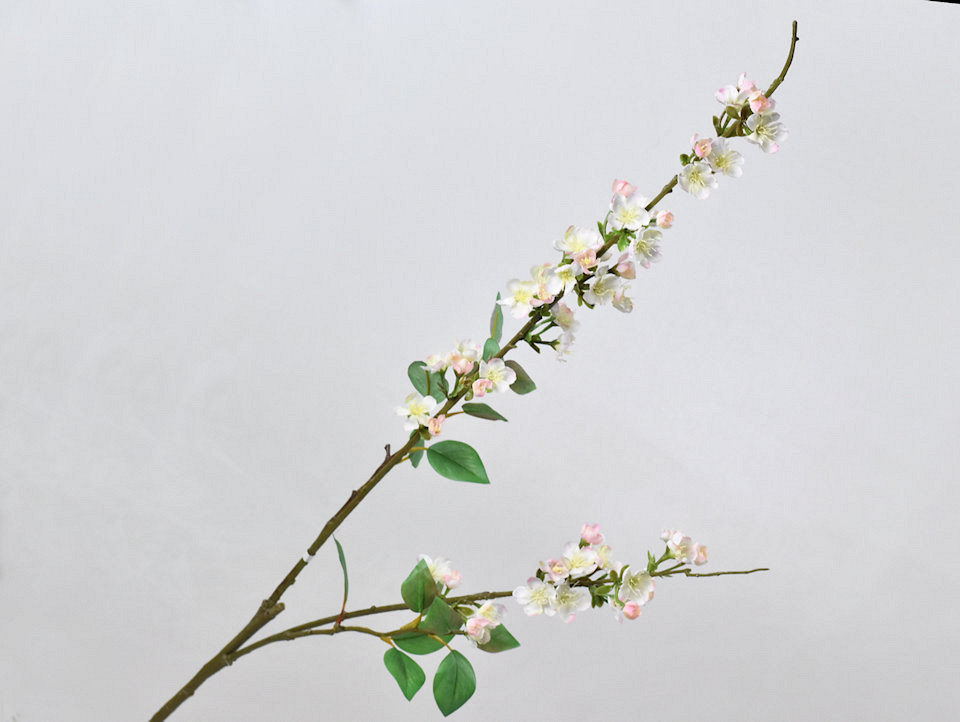 Cherry Blossom Pink 115cm
