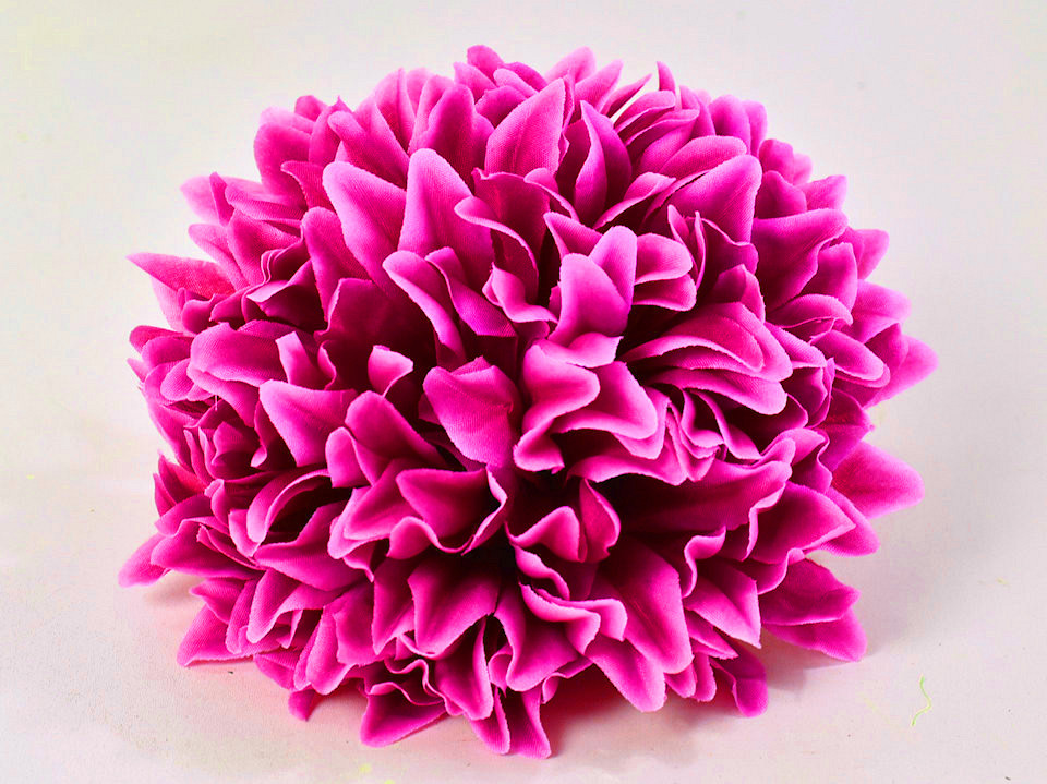 Chrysanthème D16cm Fuchsia