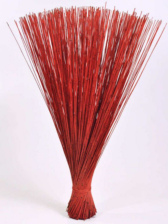 Bouquet Reed Cane Rouge 75cm