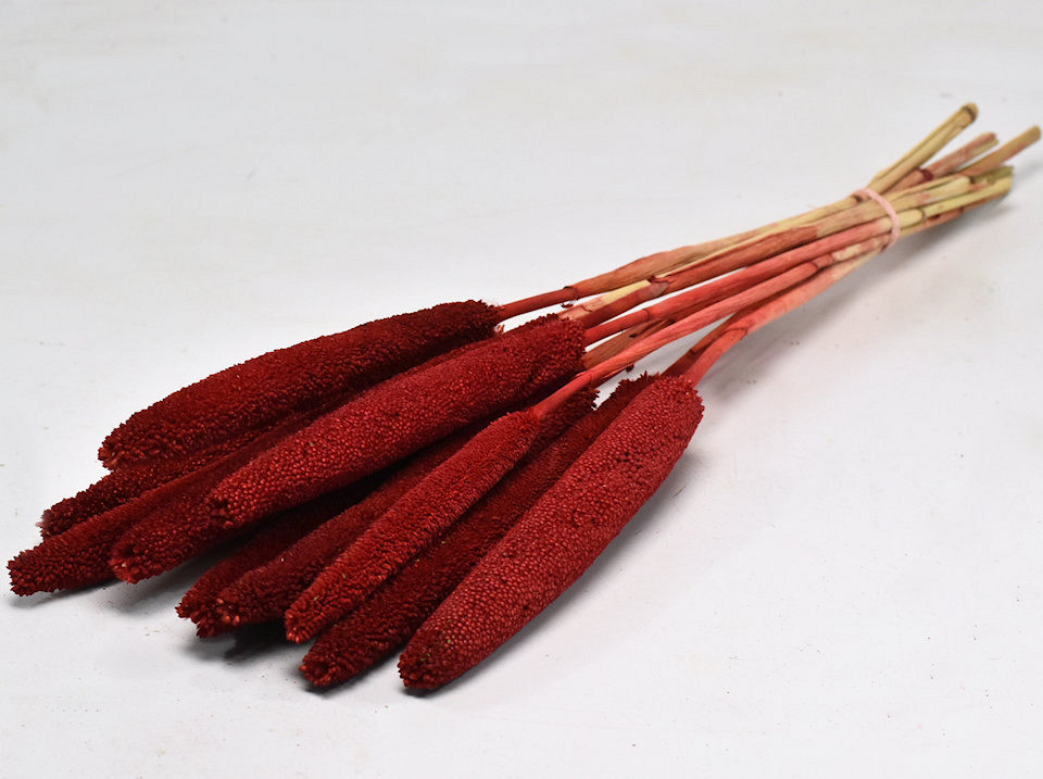 Babala Rouge 10pcs 70cm 