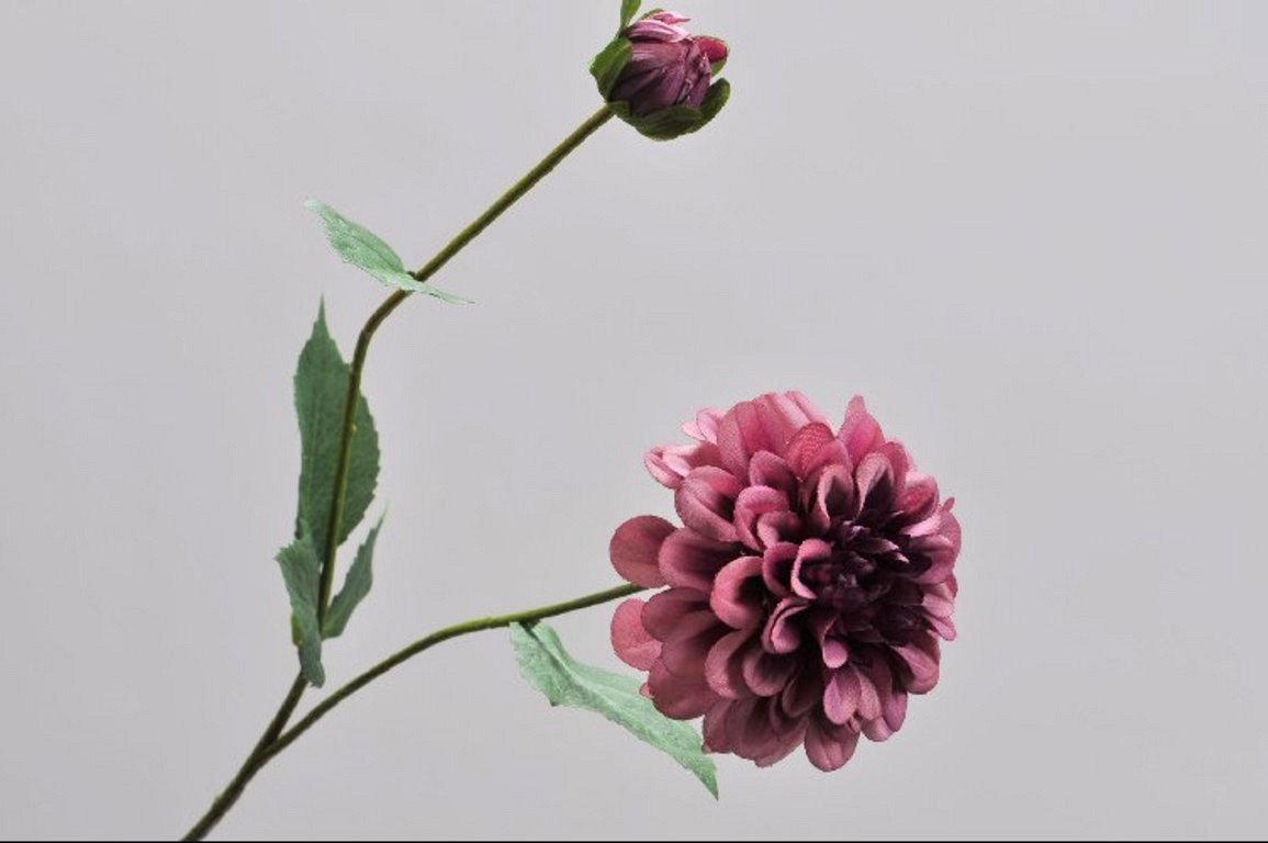 Dahlia RamifiÃ©e Mauve 64cm