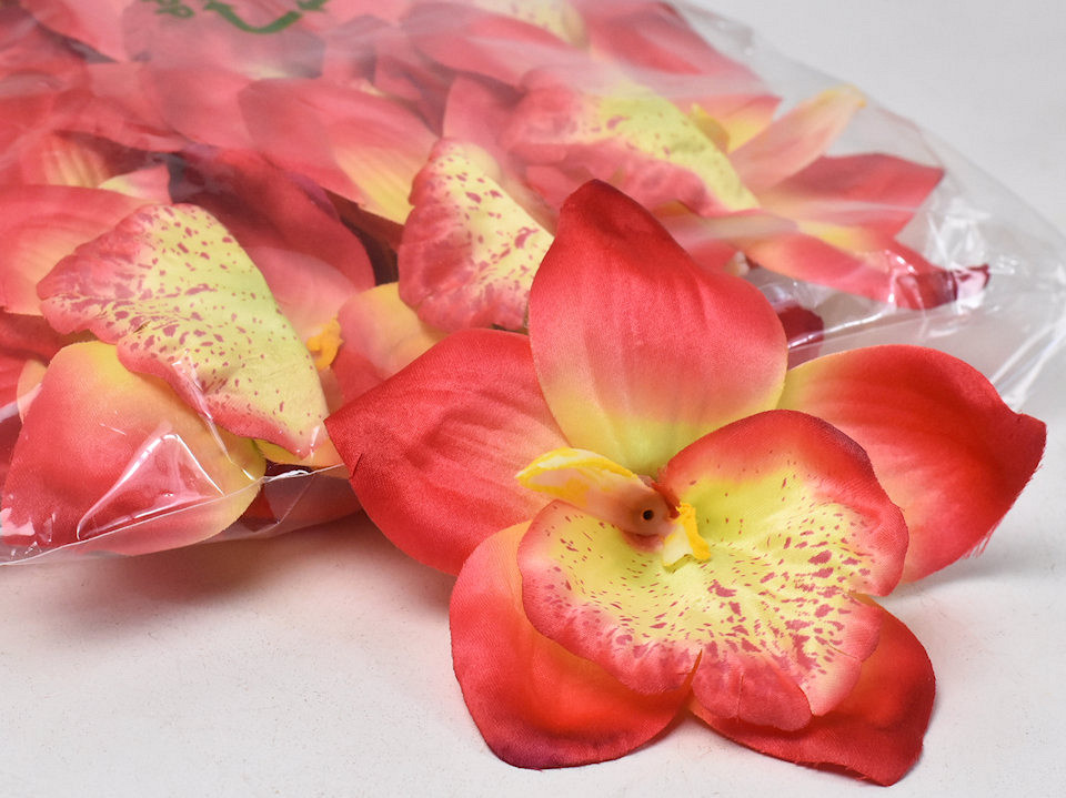 Orchidee Rood D14cm
