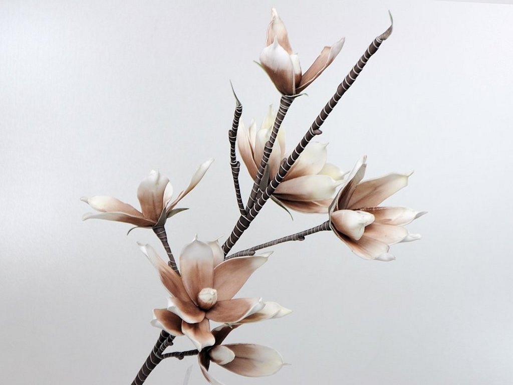 Foam Magnolia Wit/Mocca, D 18cm