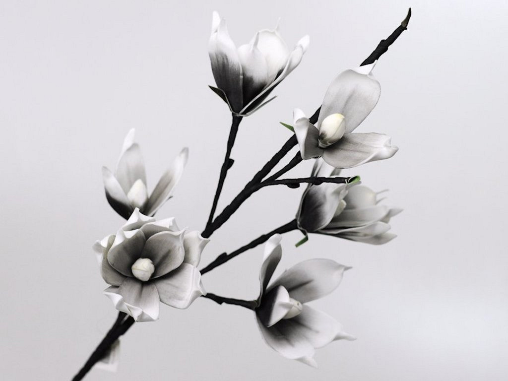 Foam Magnolia Wit/Antraciet, D 18cm