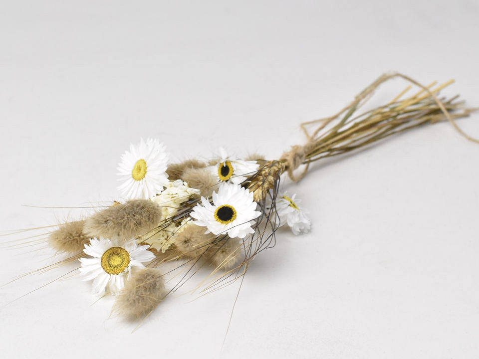 DIY Bouquet de Fleurs Séchées Blanc/Naturel XL