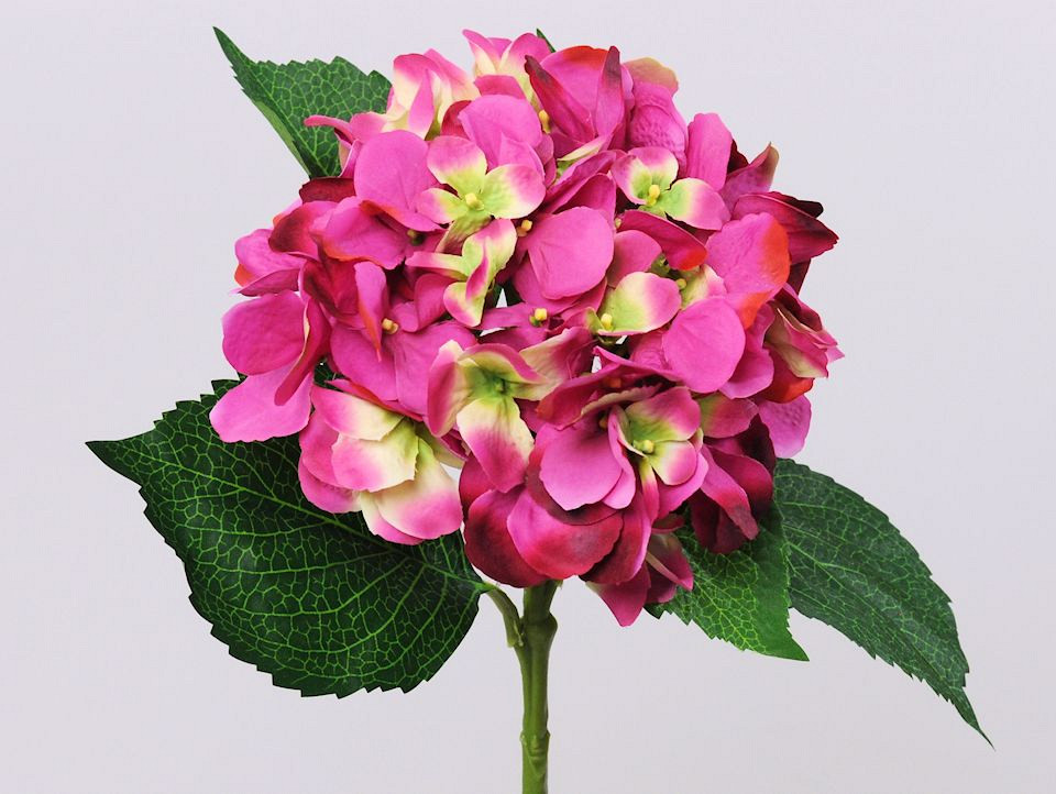 Hortensia 52cm donker roze