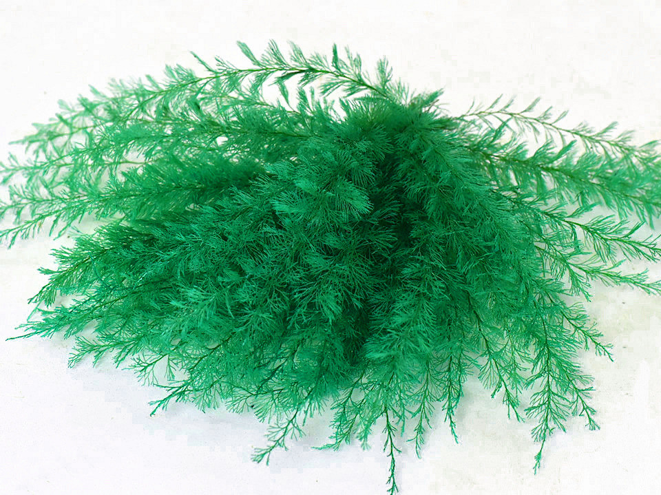 Air Fern Vert 15cm 5-Pack 