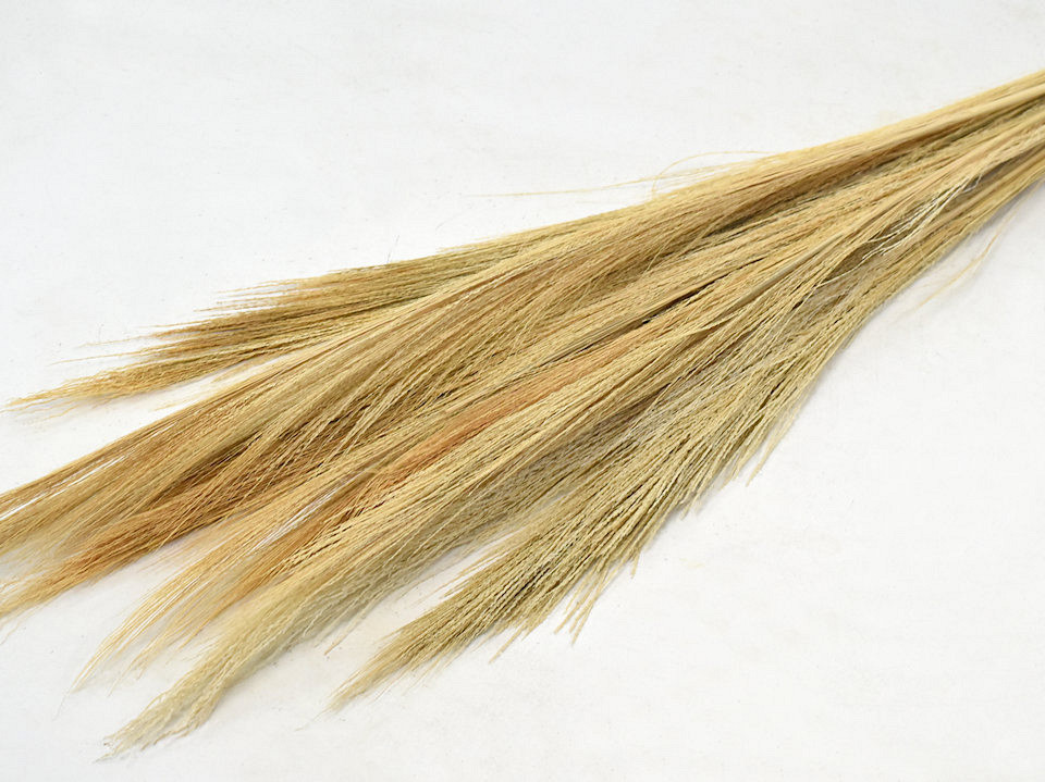 Broom Grass 100gr. Ecru