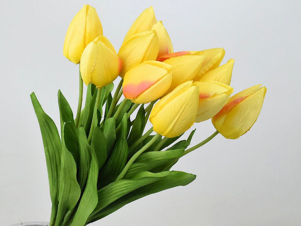 Tulipe Jaune 50cm 