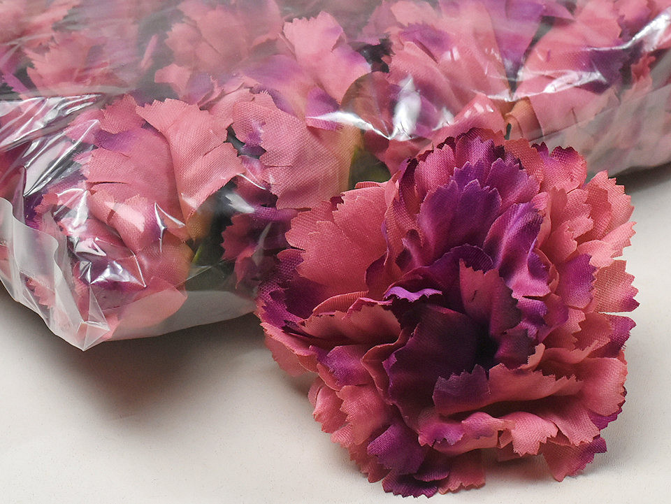 Dianthus Violet/Rose D9cm 