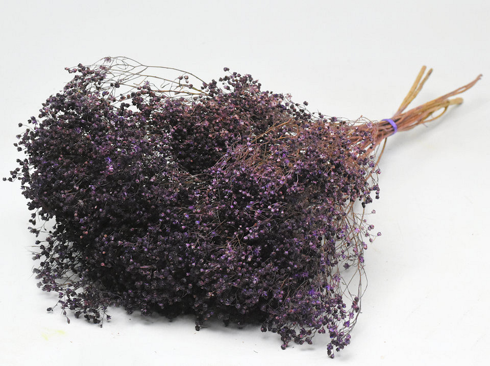 Bouquet Broom Bloom Violet 50cm