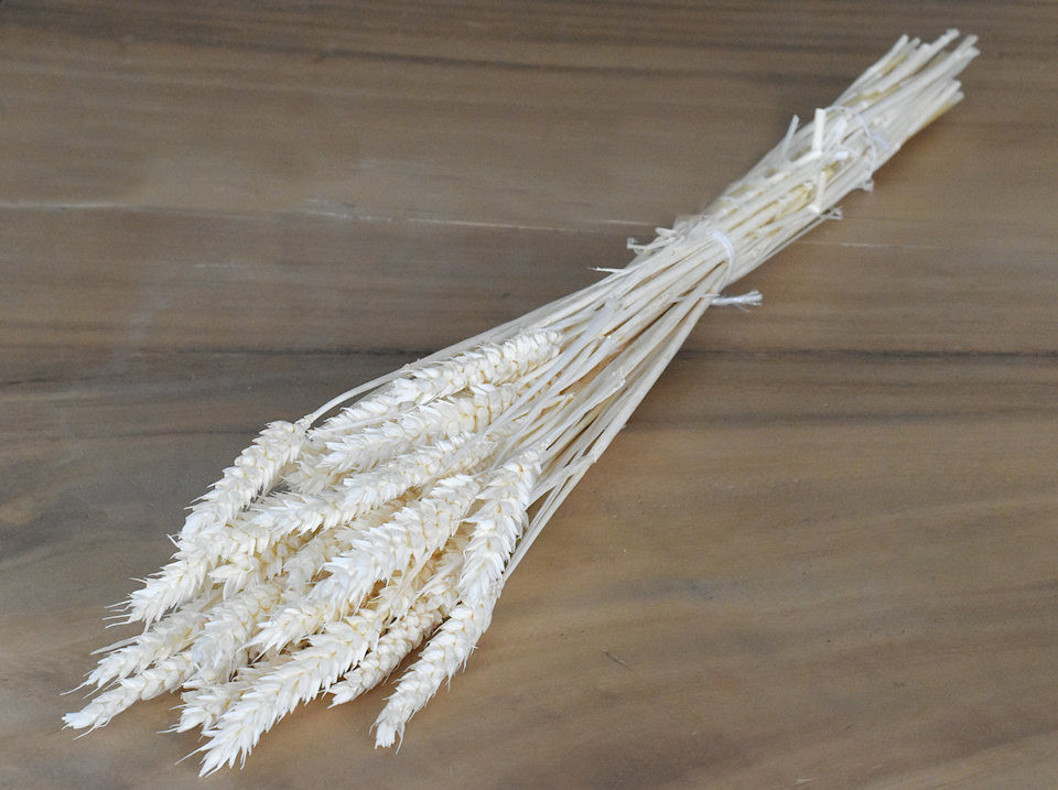 Bouquet Triticum Blanchi (blé) 70cm