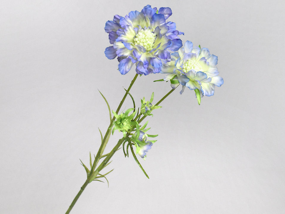 Scabiosa artificielle Bleu 84cm