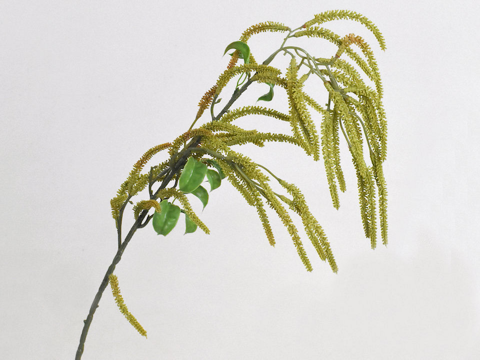 Brindille de Noisetier Vert 78cm 