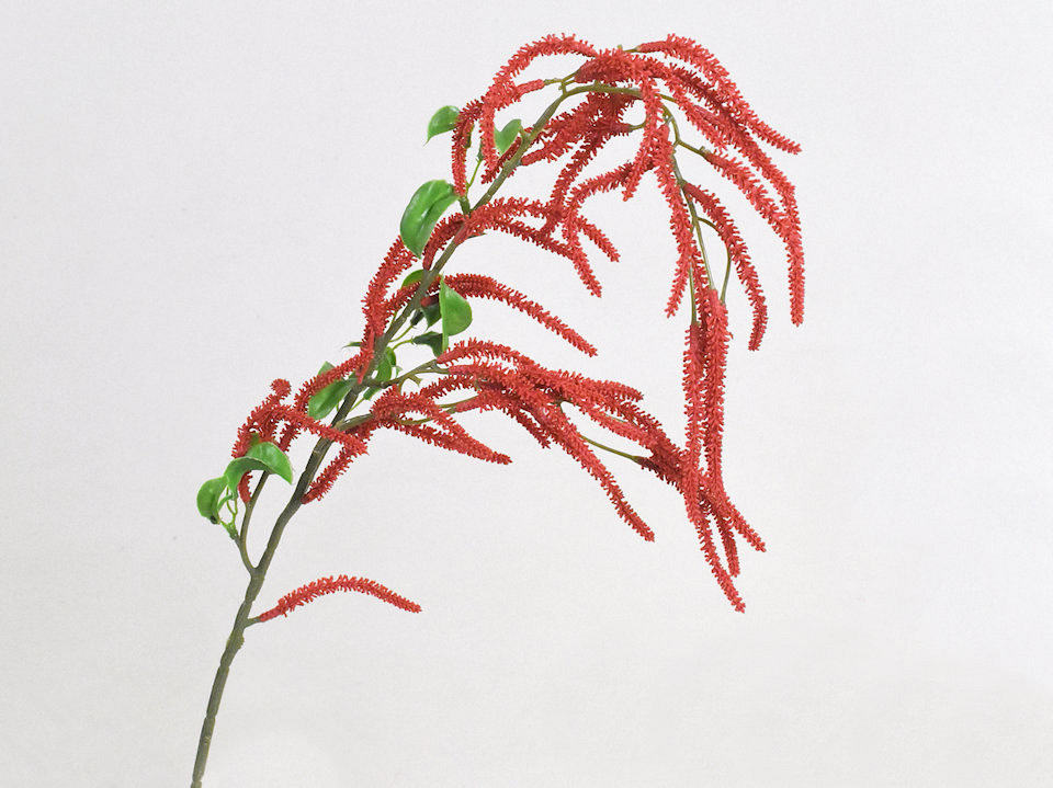 Brindille de Noisetier Rouge 78cm 