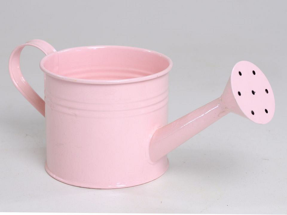 Planter Watering Can D10cm pink