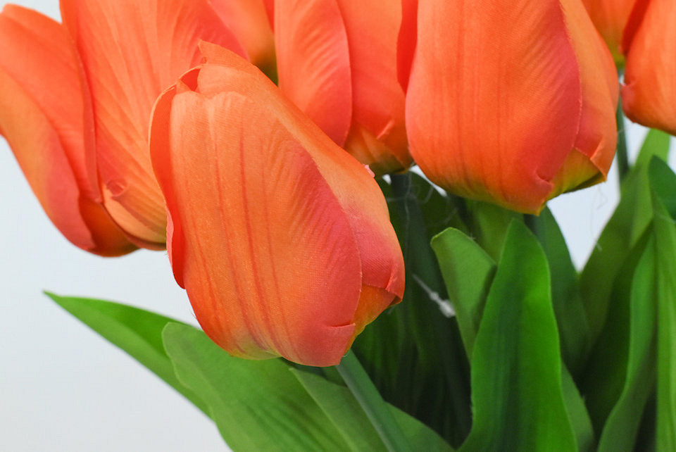 Tulp Orange 60cm