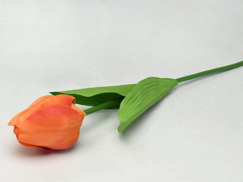 Tulp Orange 60cm