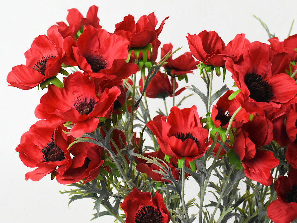 Coquelicot Rouge 80cm