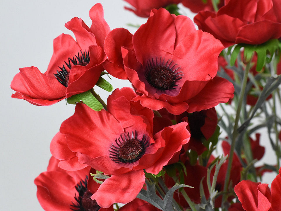 Coquelicot Rouge 80cm