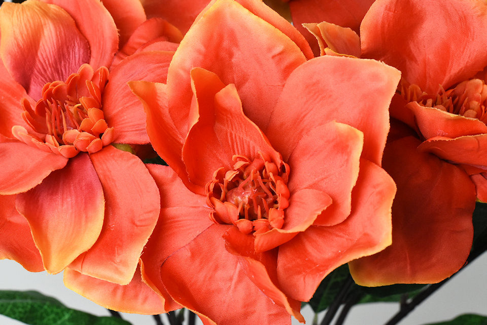 Kunst Magnolia XL Oranje 70cm