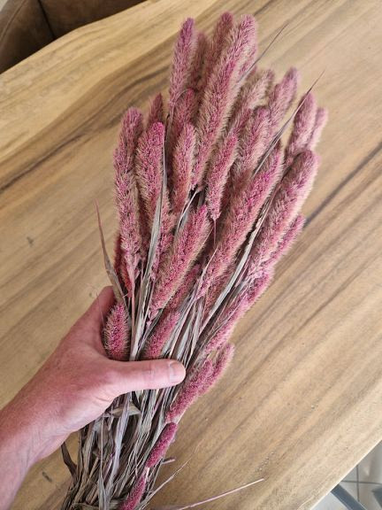 Setaria Roze 65cm