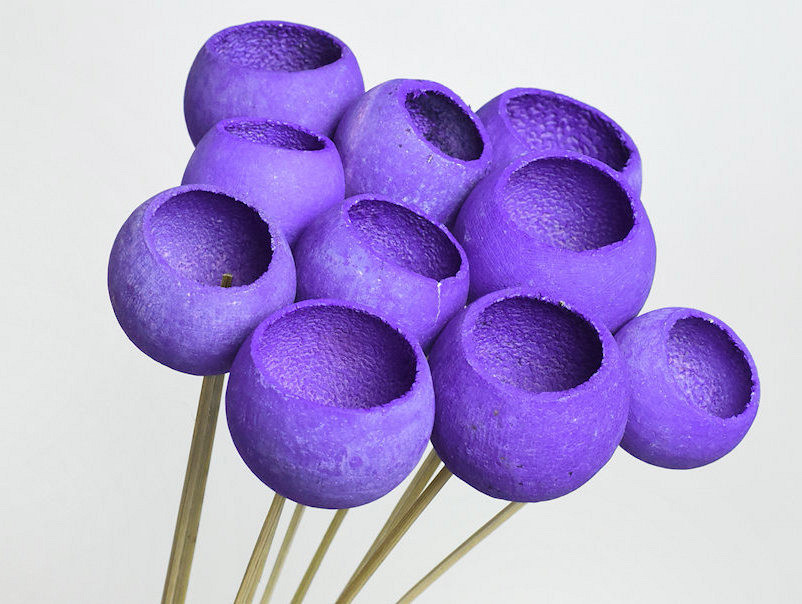 Bell Cup Violet (10 pcs)