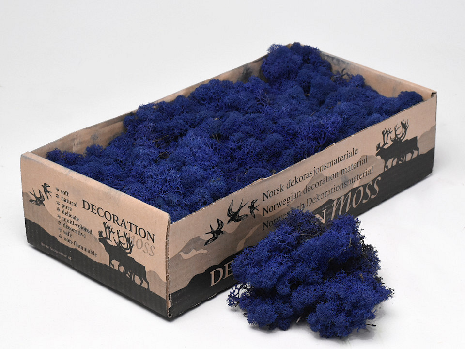 Rendiermos Donkerblauw 500gr.