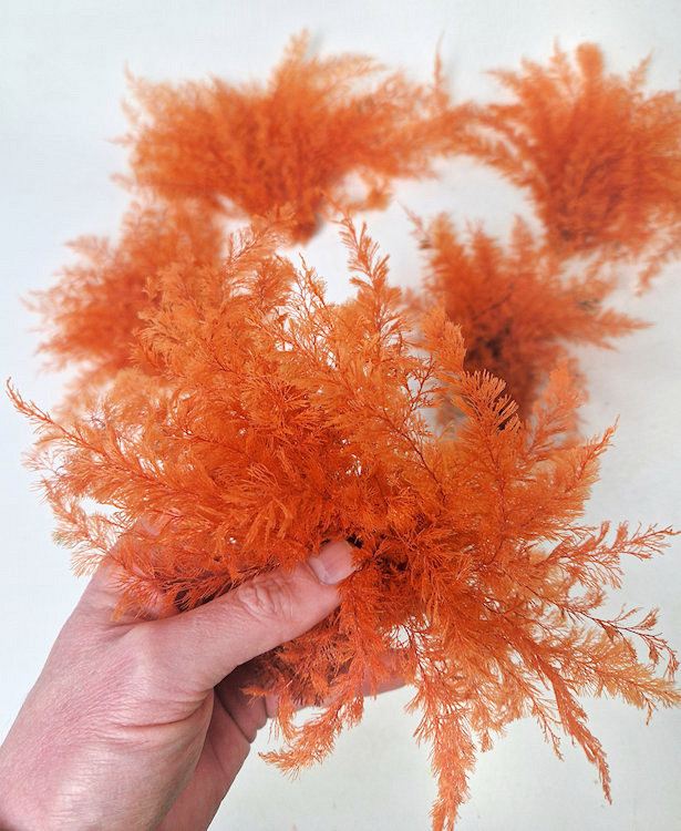 Air Fern Orange 15cm 5-Pack 