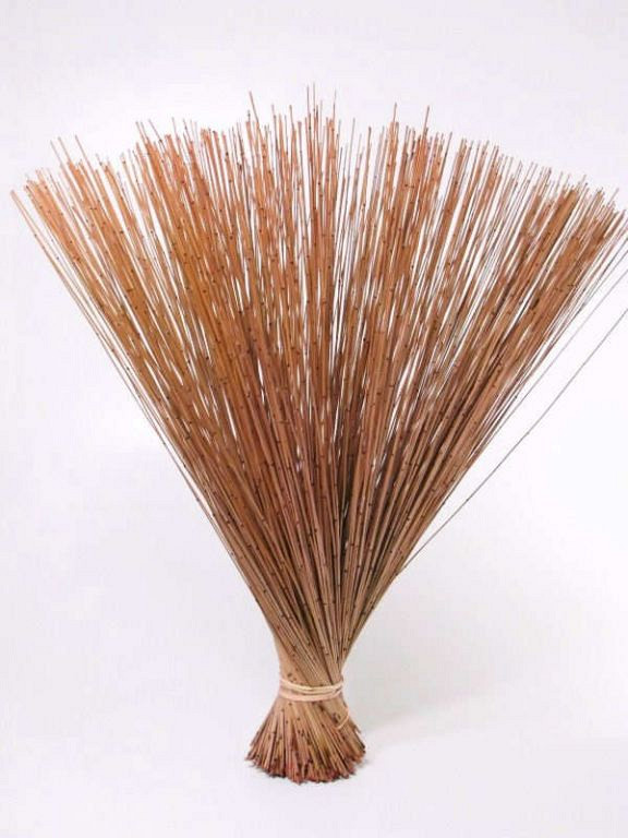 Bouquet Reed Cane Saumon 75cm