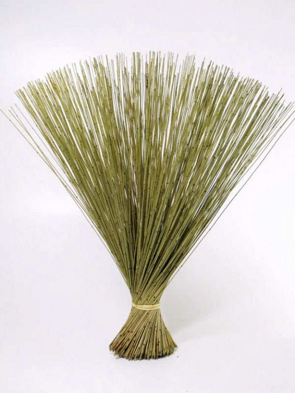 Reed Cane Lente Groen 75cm