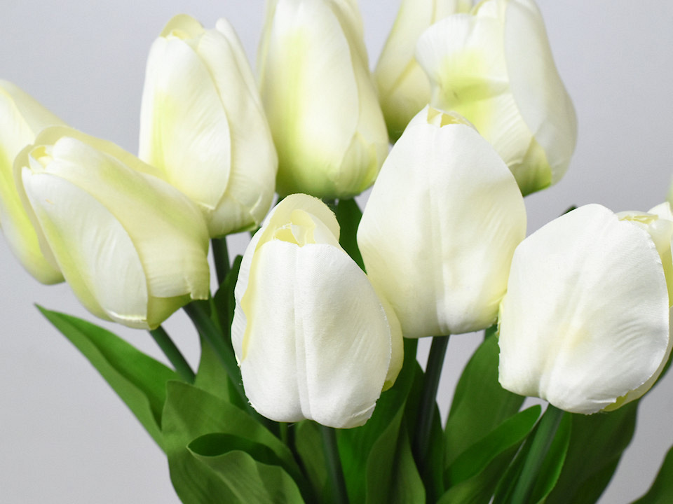 Tulipe Crème 60cm