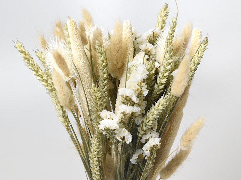 Bouquet de Fleurs Séchées Naturel Blanc 60cm