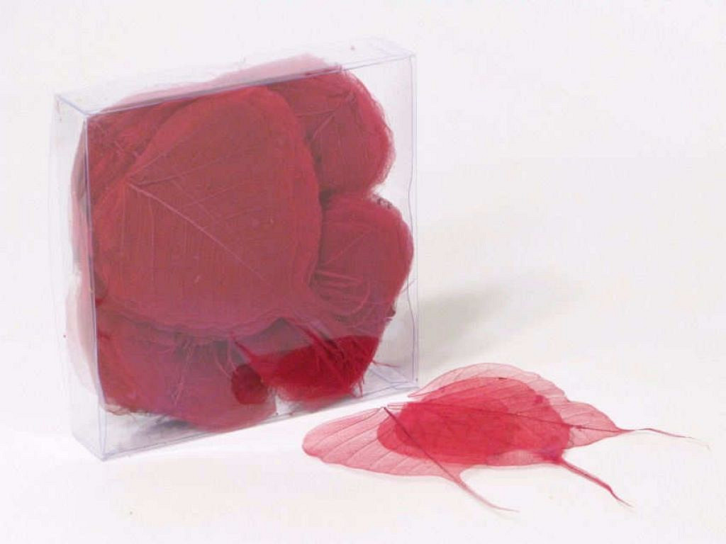 Feuilles Squelette Rouge 200pcs 