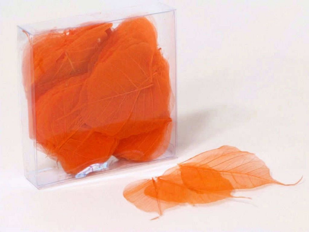 Feuilles Squelette Orange 200pcs 