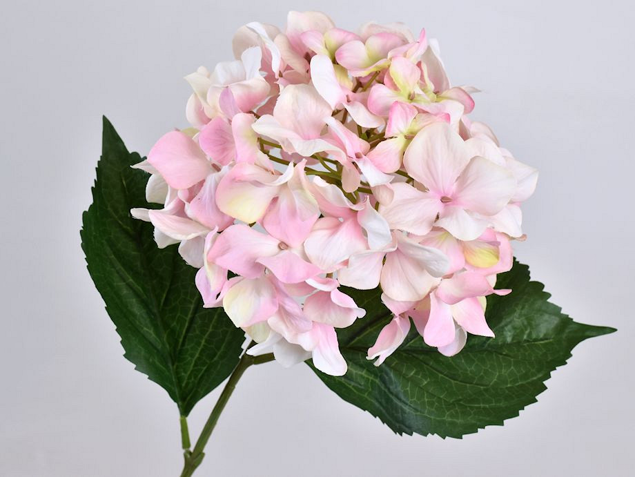 Hortensia Roze-Wit 68cm