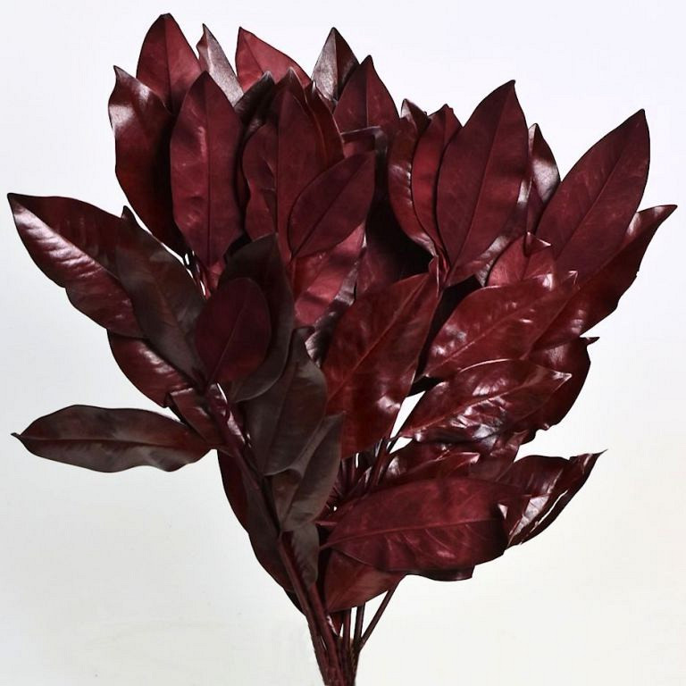 Magnolia Leaves Rouge 1kg