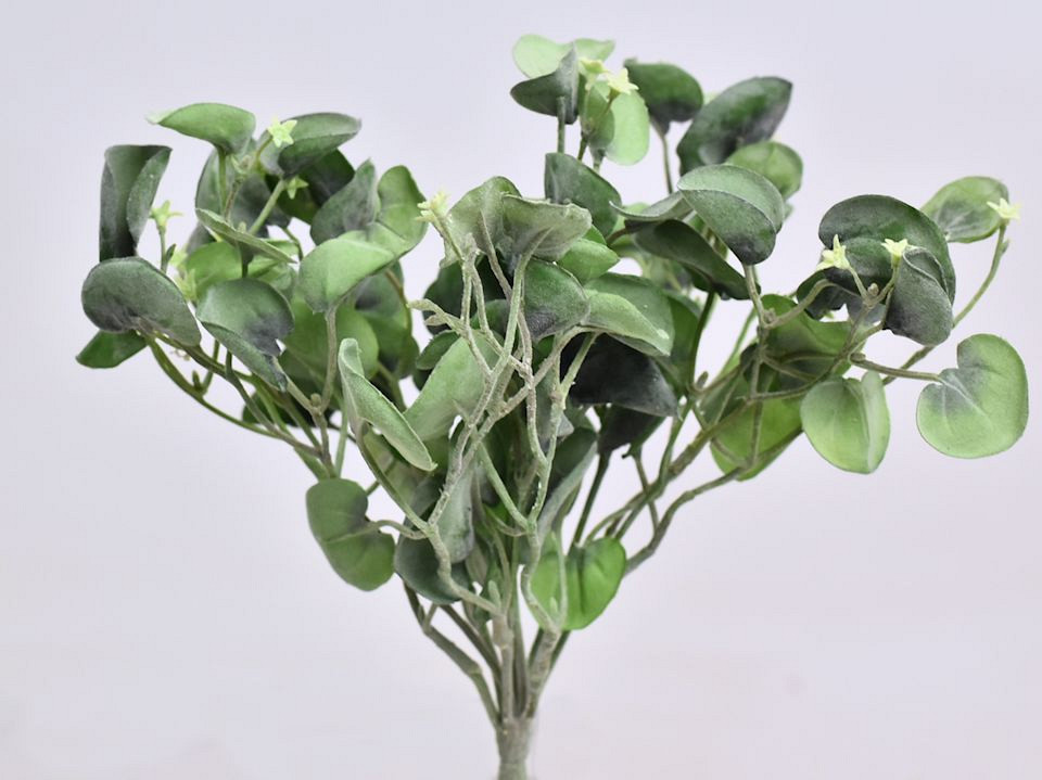 Dichondra Silver Falls artificielle 25cm