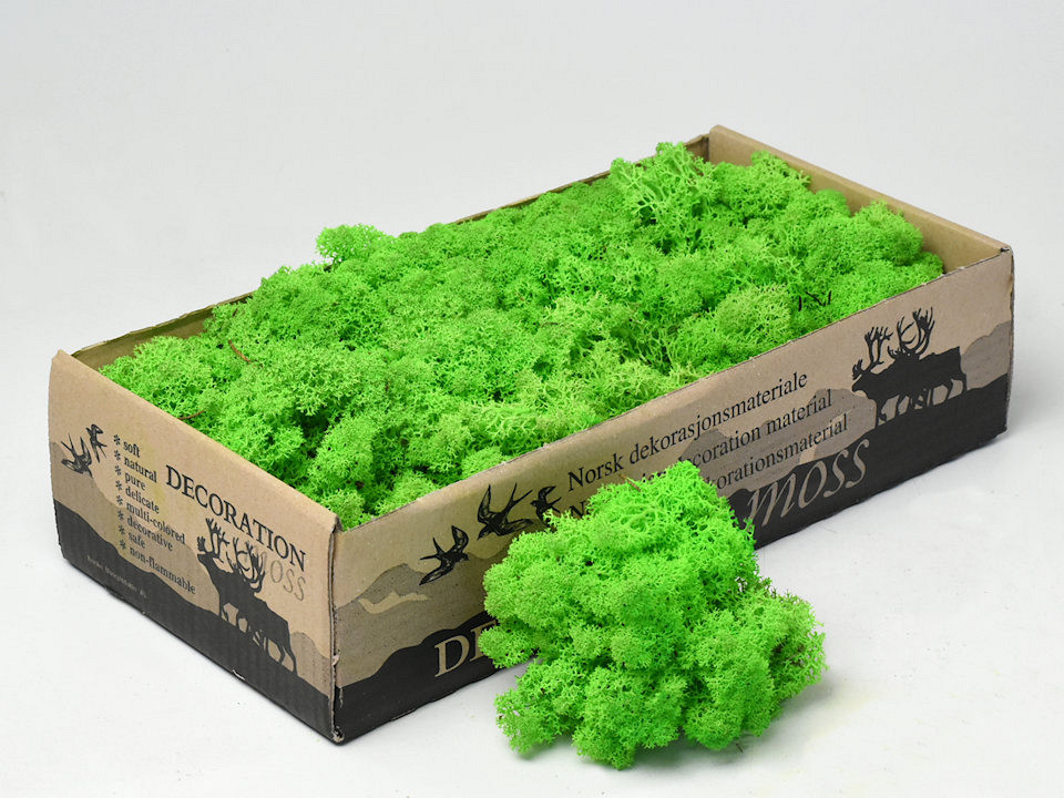 Reindeer Moss Light Green 500g.