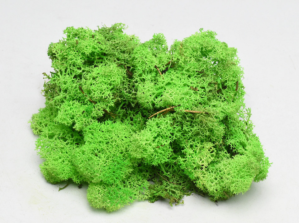 Reindeer Moss Light Green 40g.