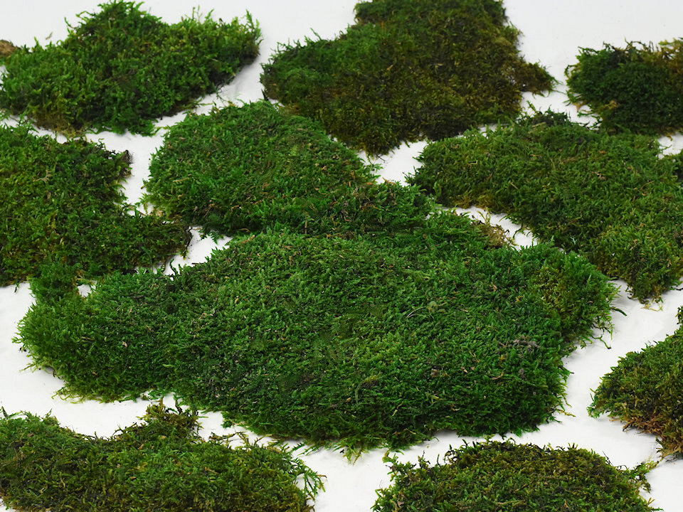 Flat Moss green per kg