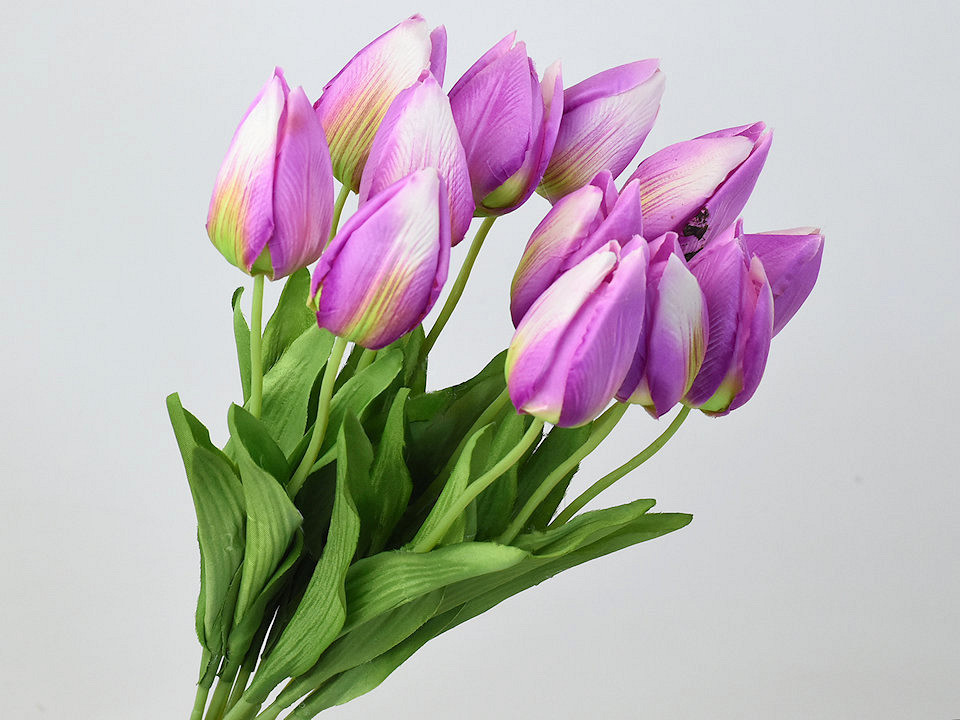 Tulip Pink 50cm 