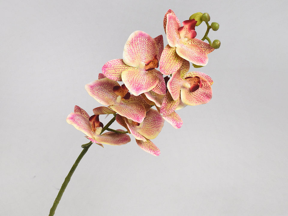 Künstliche Orchidee Rosa 73cm 