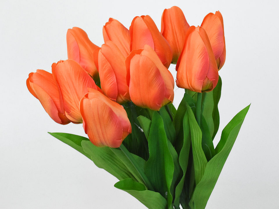 Tulp Orange 60cm