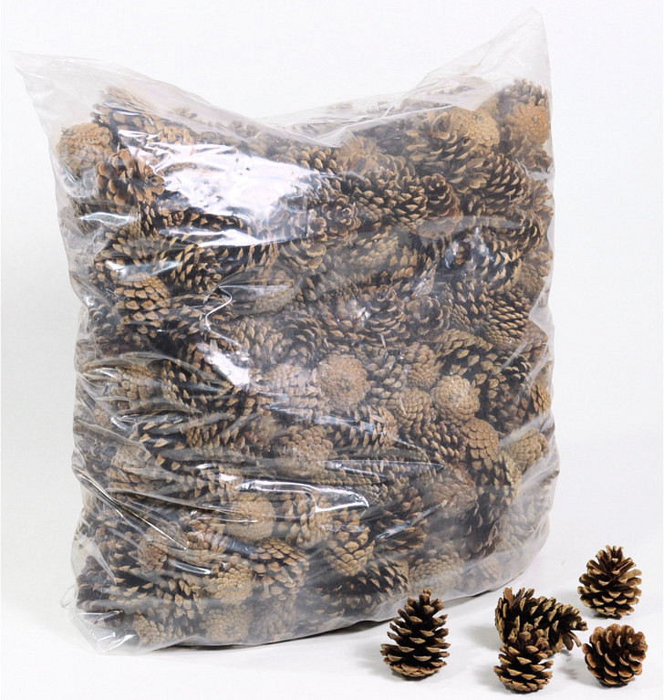 Pine Cones 10kg