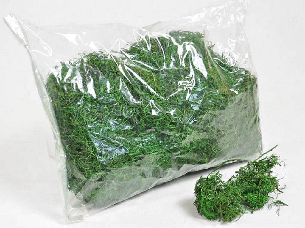 Curly Moss Green 1Kg