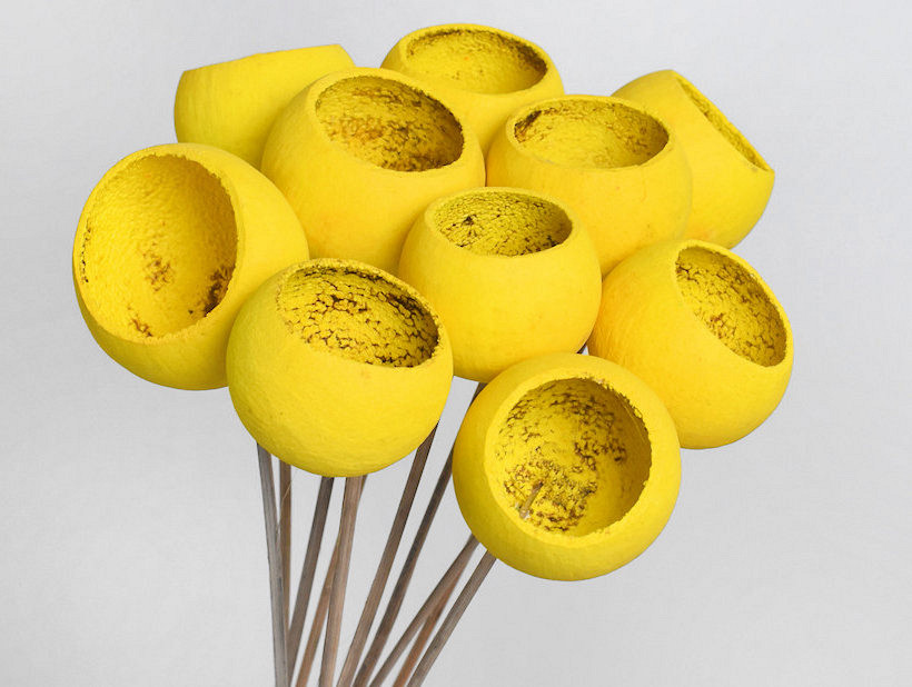 Bell Cup Yellow (10 pcs)