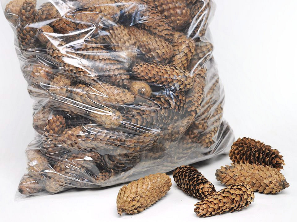 Spruce Cones per Kg